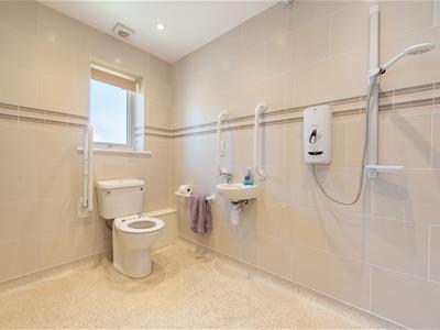 Picture 7